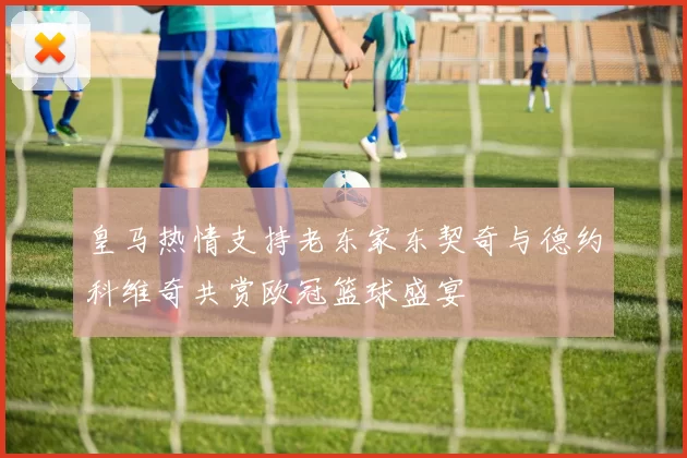皇马热情支持老东家东契奇与德约科维奇共赏欧冠篮球盛宴