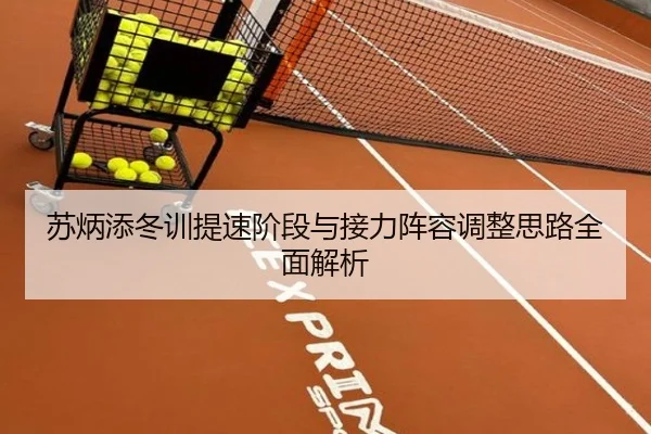 苏炳添冬训提速阶段与接力阵容调整思路全面解析 - hth